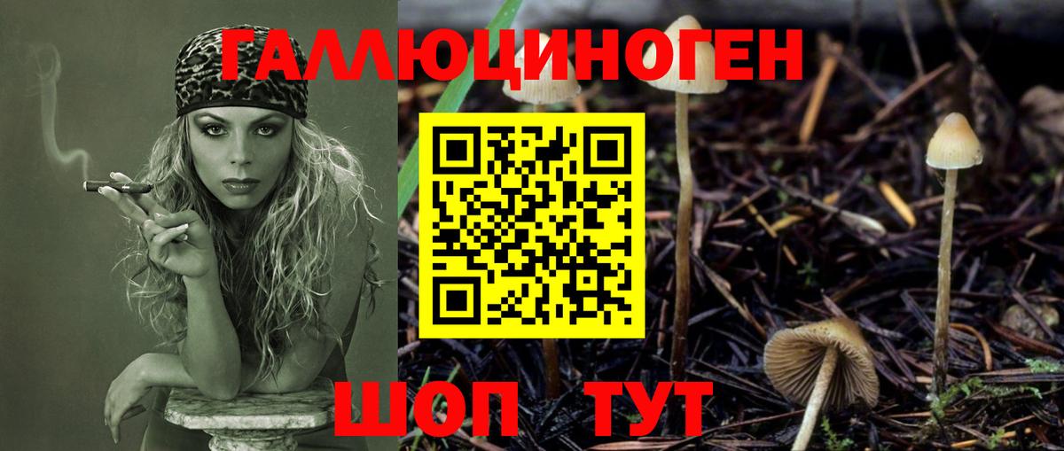 Галлюциногенные грибы ЛСД  Галлюциногенные грибы Psilocybe  Карпинск  Вход с VPN 